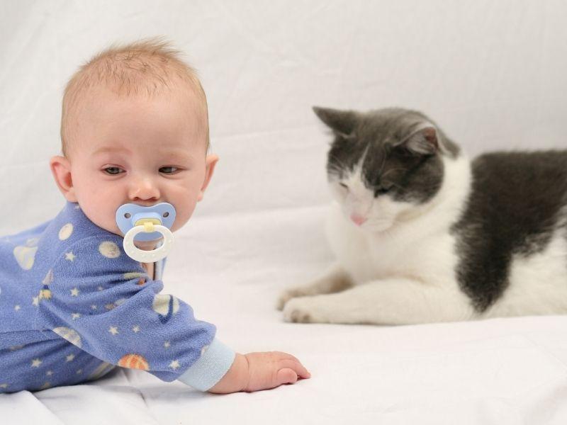 Baby and Cat together