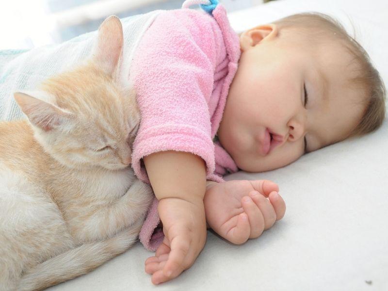 Cat and Human Baby Snuggle Up Together