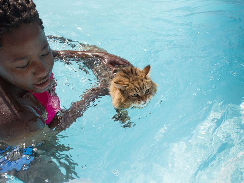 Young Girl with a Swimming Cat