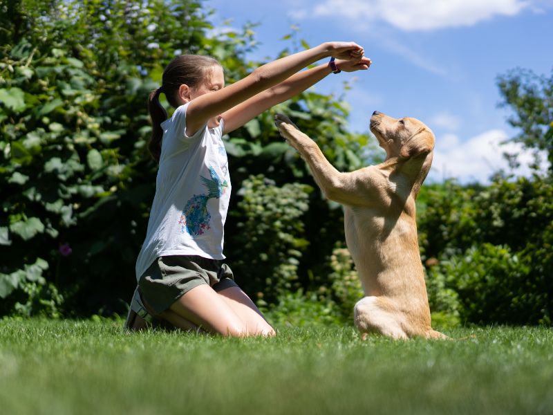 Girl puppy training in the garden