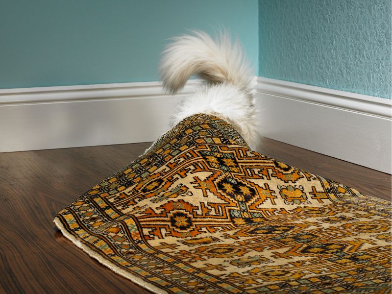 I can safely hide under this rug!
