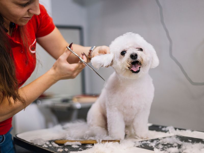 Some dogs love the grooming process
