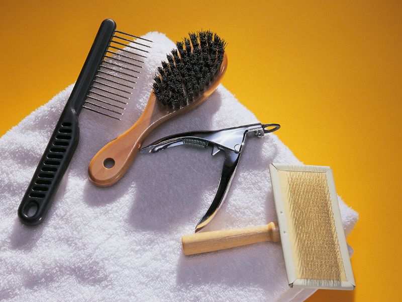You will need a selection of tools to groom your dog at home
