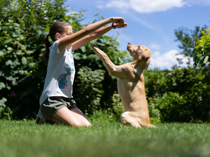 Dog training in the garden