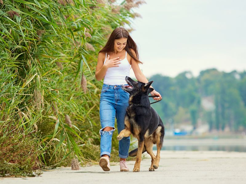 Walking your dog creates a lasting bond between you both