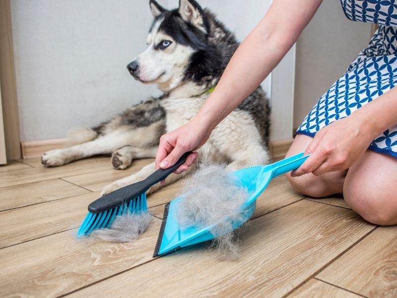 Cleaning up after pooch can be a chore!