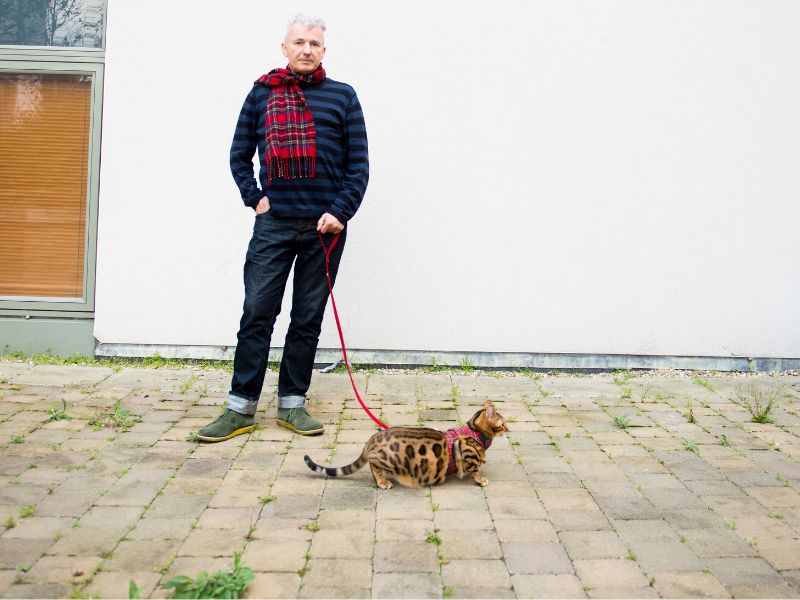 Man preparing to walk a cat on a lead