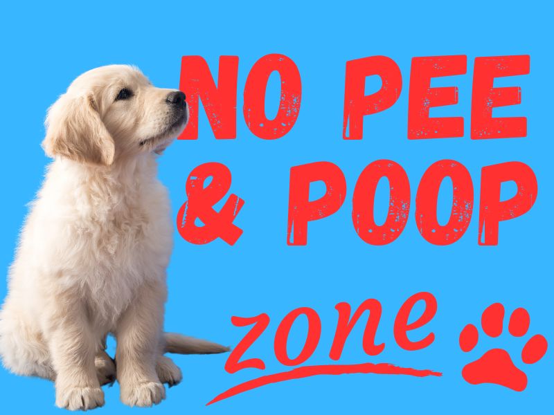 No Dog Pee and Poop Zone!