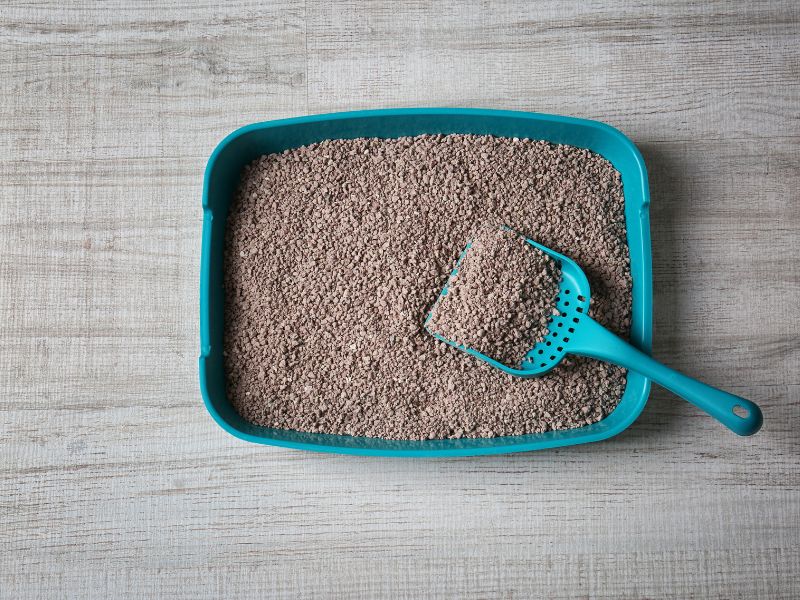 Scoop and clean daily to ensure your cat always has a clean litter tray