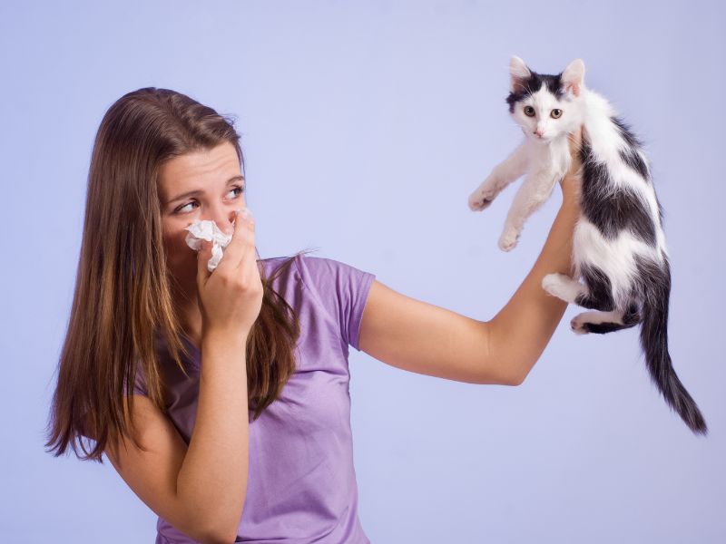 A girl allergic to the cat