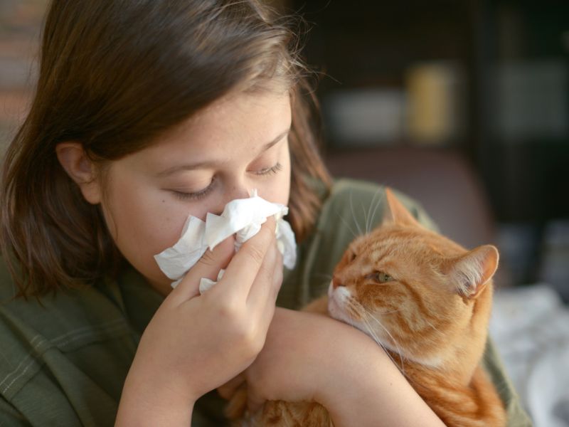 A runny nose is a symptom you may have an allergy to cats