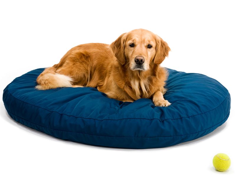 Make your dog bed big enough for your dog