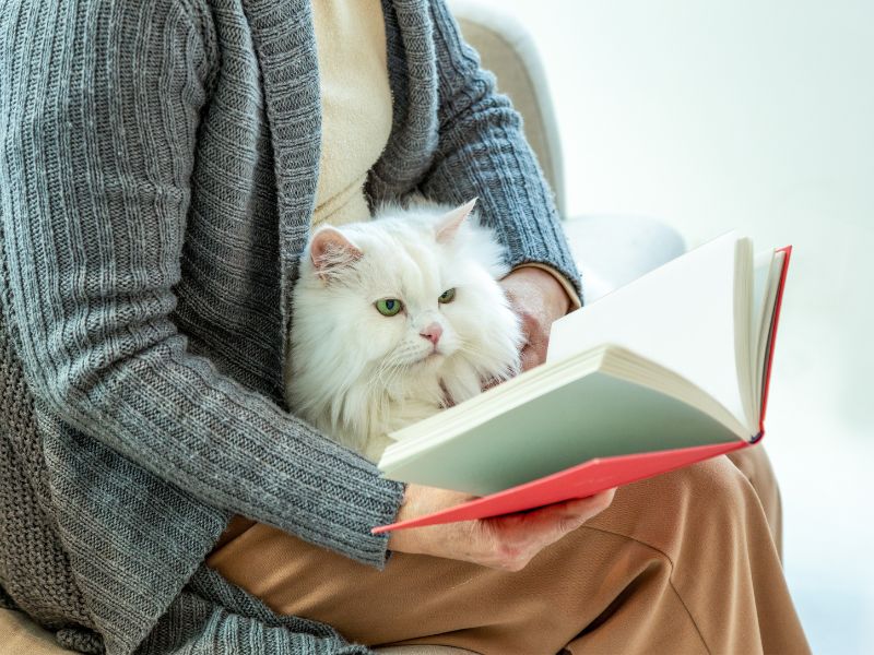 Owner and cat on lap, reading a book!